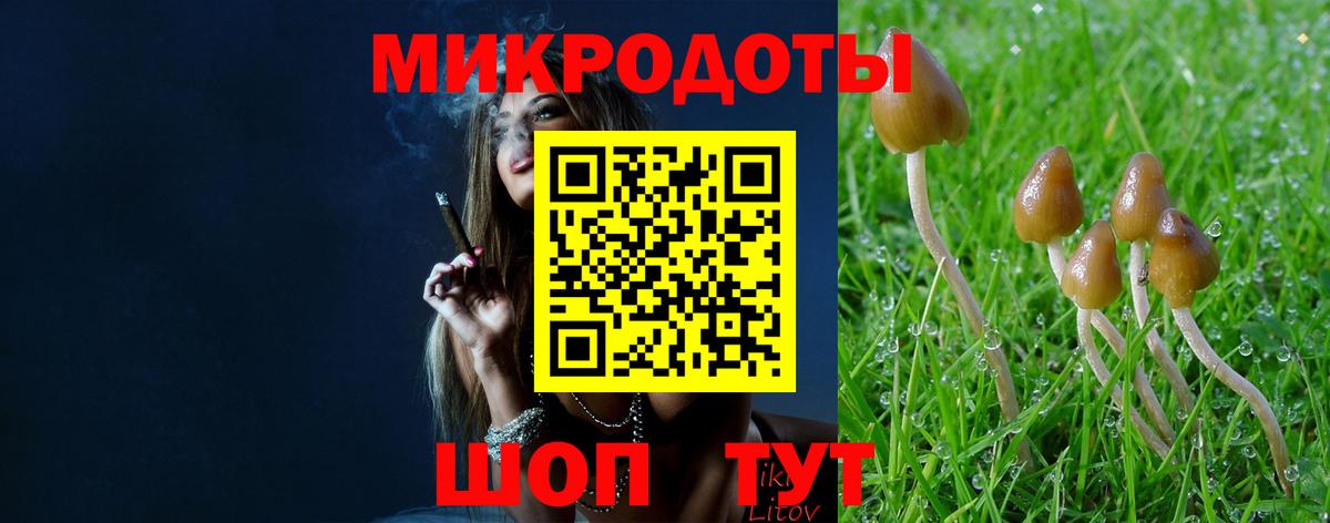 Псилоцибиновые грибы прущие грибы Волжск
